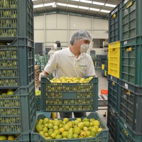 11358086774_8f87099b17_z