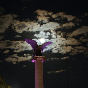 15474301405_0e7626565a_z