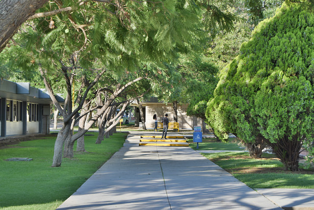 Necesario que gacetas universitarias salgan de los campus
