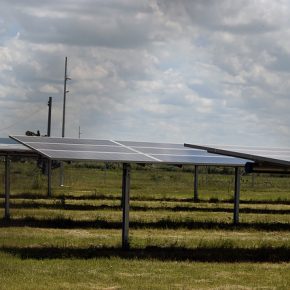 29790824557_ab1d498430_z