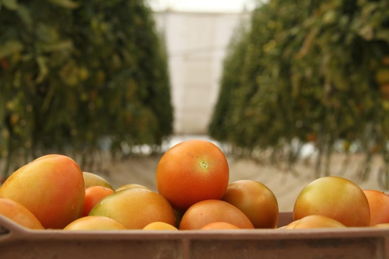 Exitoso resultó el Foro Agroalimentario de Aguascalientes 2023