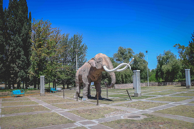 Retiran 50 toneladas de basura de la presa del Cedazo, en Aguascalientes