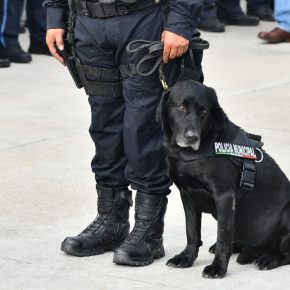 HOMENAJE A EJEMPLARES EN RETIRO 11