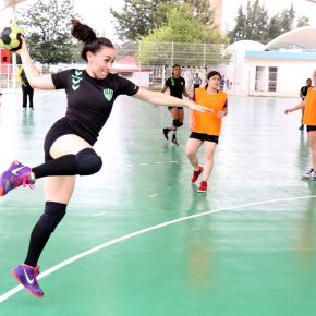 Liga Hidrocalida de Handball (3)