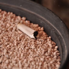 25426687133_21b6551ff6_z