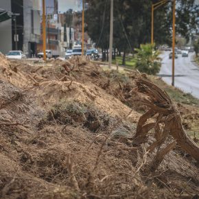 26010980008_e1571cf45e_z