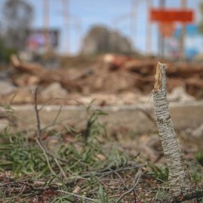 28103683829_81eb734143_z