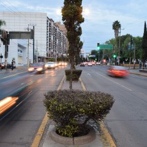 30386165607_7b906ea26d_z