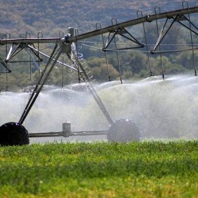 30708040966_ee2f7f3561_z