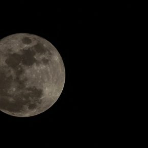 31594698246_2db0f2a813_z