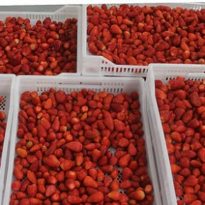 32736558952_0193a3c2b6_z