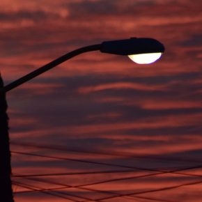 38110543605_269dacc255_k