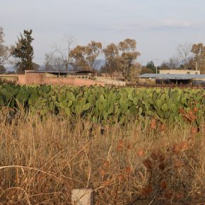 38591087544_d11d276452_z