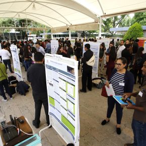 391 Miniproyectos CCB (20)