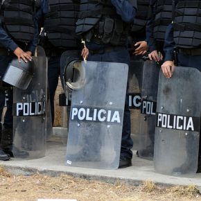 40030204110_54eda55788_z