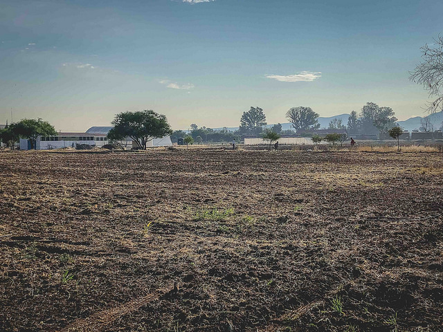 Ejidatarios de Santa María de Gallardo, Aguascalientes, dicen recibir presiones para vender sus derechos de la tierra