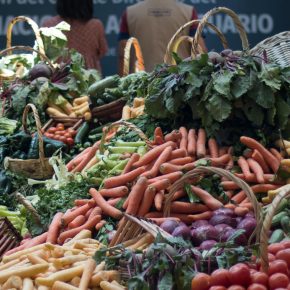 40846502815_4f148d3b9e_k