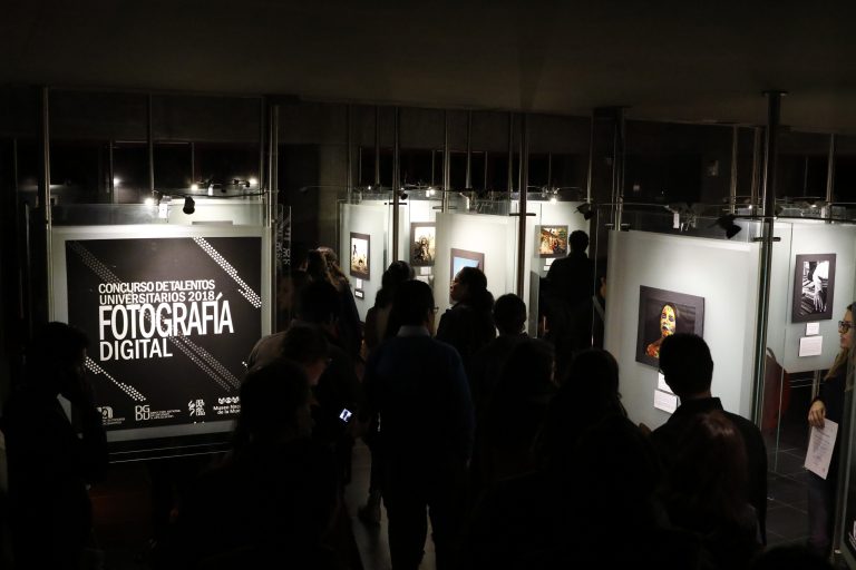 La violencia digital es real, existe y tiene consecuencias en la vida de las mujeres