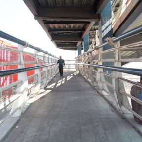 41310473172_50a04ed774_z