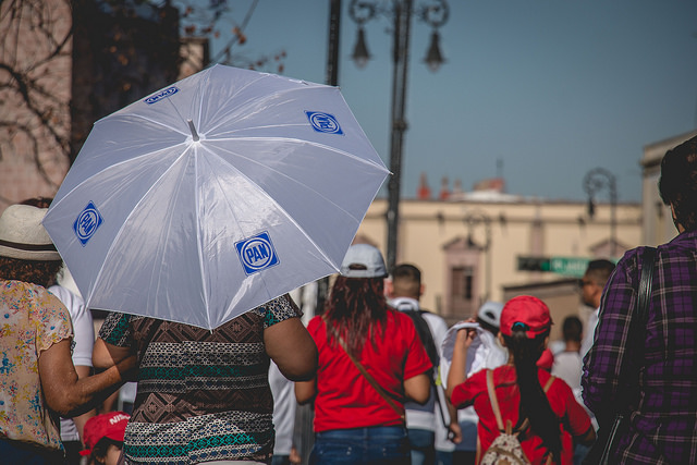 No hay dados cargados en contienda interna del PAN