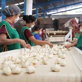 41852803384_e24794382d_z