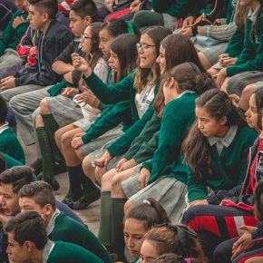 41941373972_eeda237004_z