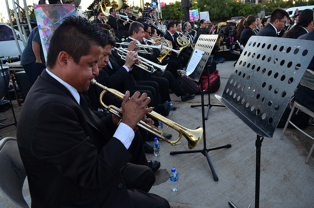 Actividades de artistas locales en el Festival de la Ciudad