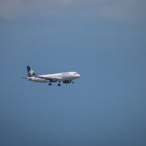 43700003921_97a4259a61_z