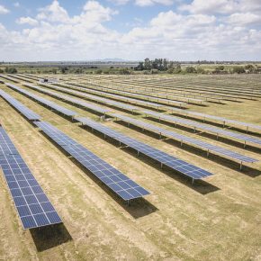 43775894655_792e81ff67_z