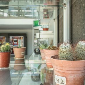 43955359771_57013c00e0_z