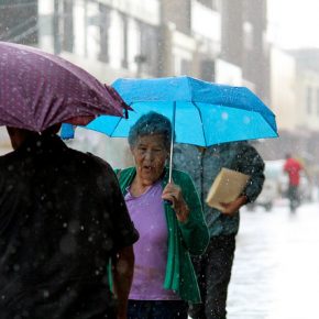 44354951051_0c16a5b07b_z