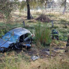 44460959875_1ce0d77c3b_z