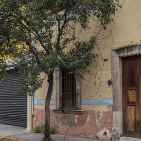 44693181864_727ce48972_z