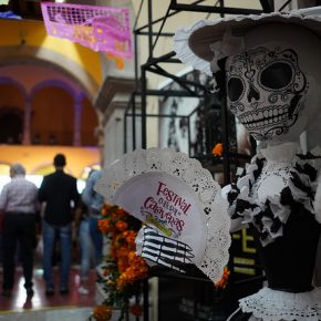 45108269791_779c441a32_z