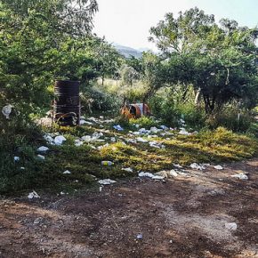 45277856632_f810fe2fbd_z