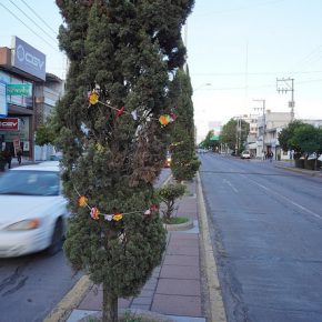 45407701382_a7a2d80ff4_z