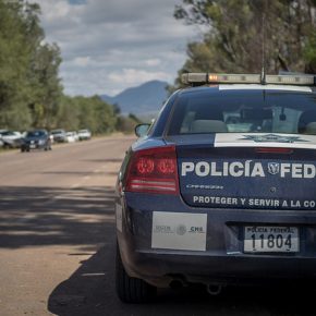 45438299251_3c9cd3355d_z