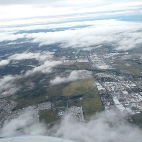 45483249931_8506406dce_z