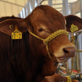 8666980752_d0180e2acd_z