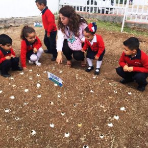 HUERTO SALTO DE LOS SALADO (6)