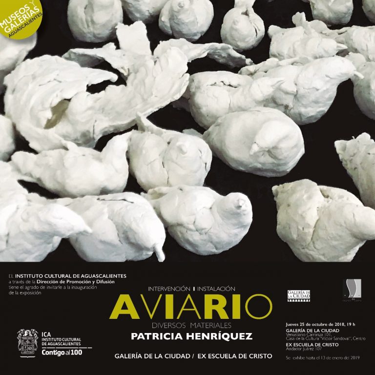 Última semana para ver la obra de Patricia Henríquez