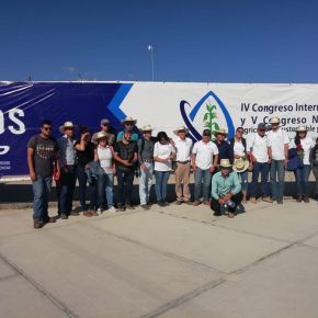 WhatsApp Image 2018-10-25 at 16.45.55