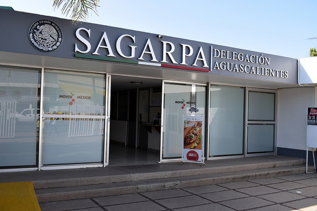 Descentralización de dependencias federales se verá obligada a desarrollarse paulatinamente