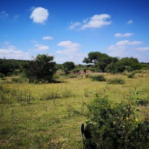 29688939207_1dc6fb69a6_z