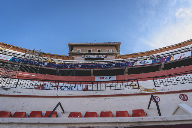 Pugnará el PVEM por la desaparición de las corridas de toros y peleas de gallos