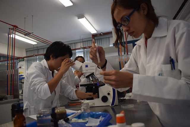 Estudiantes queretanos representarán a México en feria de ciencias en Arizona