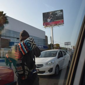 36456555914_00d1fca626_z