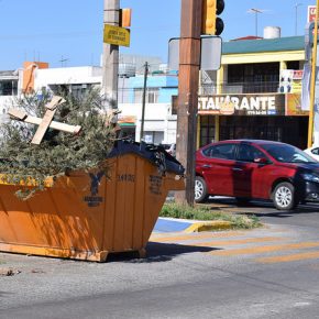 38987616034_173ef1fa63_z