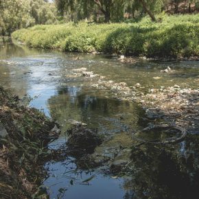 42553762922_cb180facc9_z