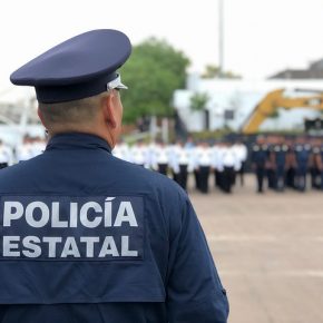 43302696004_fb26bf31a6_z